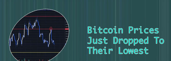 Bitcoin price 2000