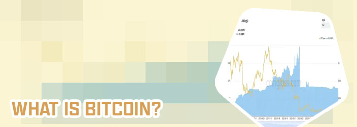 Bitcoin purpose